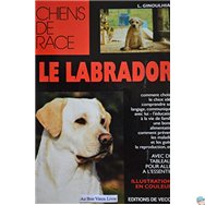 de labrador